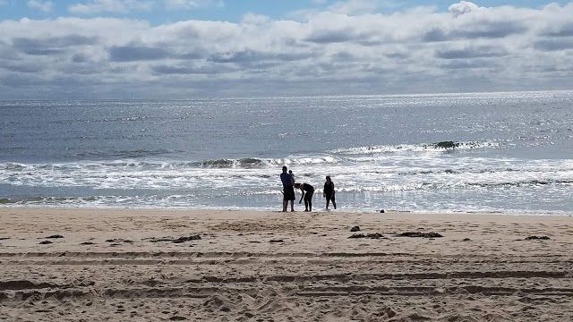 East Hampton Main Beach
